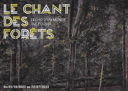  Le Chant des Forêts : Une Délicate Mélange de Couleur et d'Émotion Profonde!