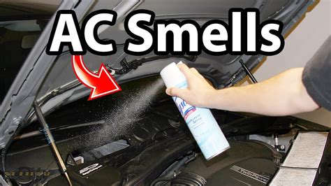 How to Get Milk Smell Out of Car: And Why It Smells Like a Forgotten Dream