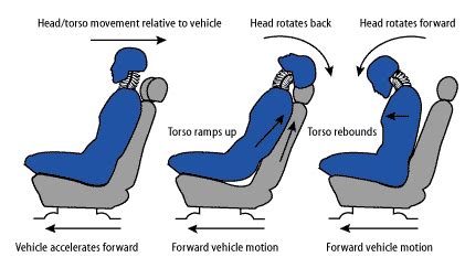 What is the head restraint in a car, and why does it sometimes feel like a silent guardian of your neck?